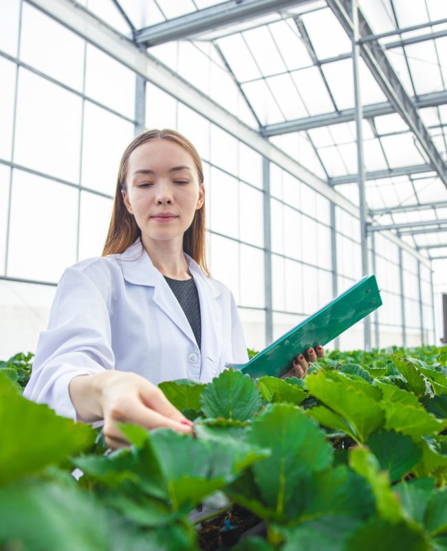 Organic Plants